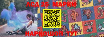 гидра Заводоуковск