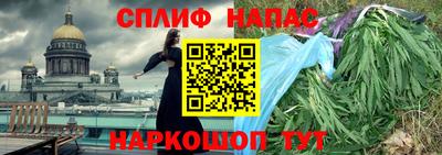 гидра Заводоуковск