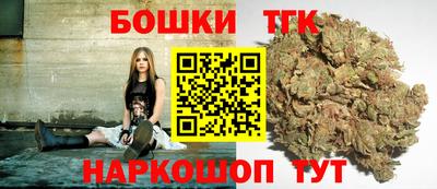 гидра Заводоуковск