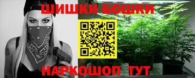 гидра Заводоуковск