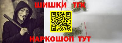 гидра Заводоуковск