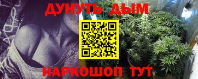 гидра Заводоуковск