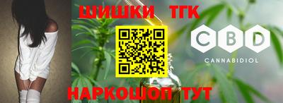 гидра Заводоуковск