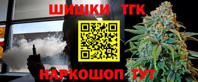 гидра Заводоуковск