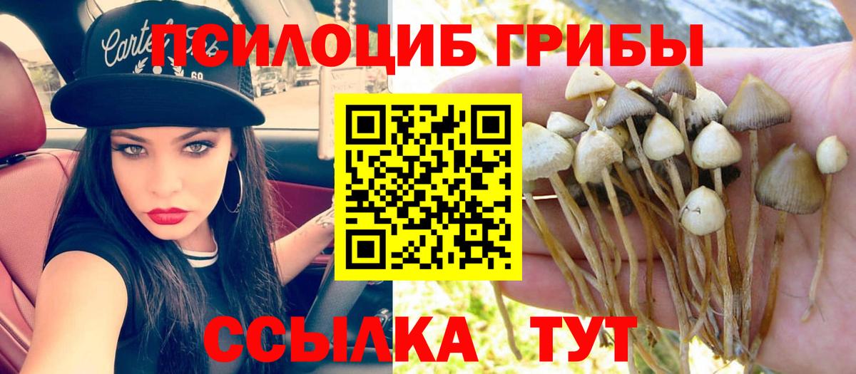 Псилоцибиновые грибы мухоморы  Вход с VPN  Елец 
